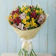 Букет цветов из:  Альстромерии #REPLACE_PRED# Келермесской