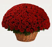 Премиум букет из: Розы #REPLACE_PRED# Келермесской